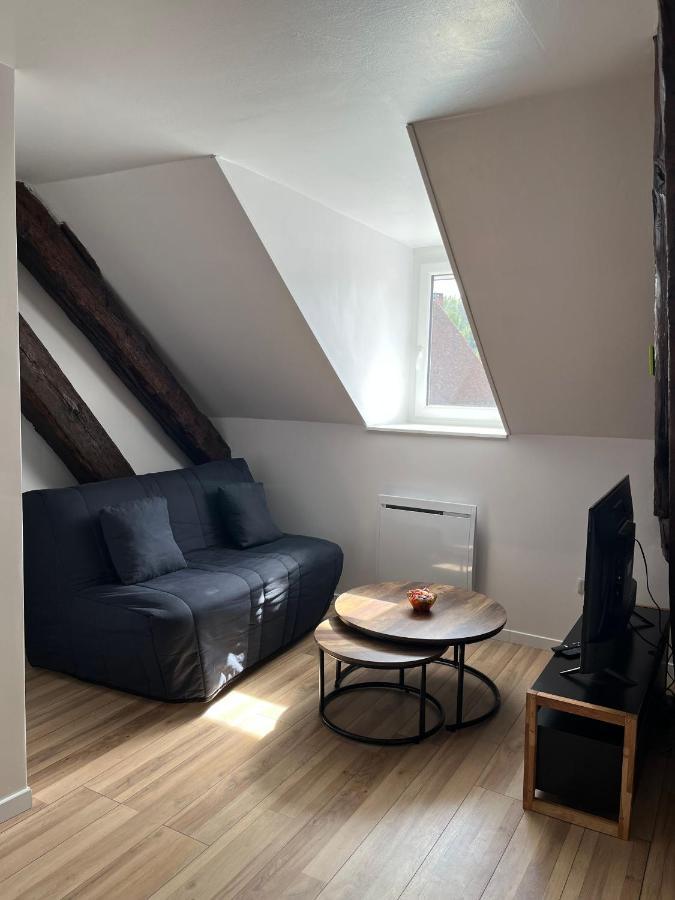 Appartement De La Fontaine A La Tour Du Pin Hyper Centre Parking Prive Екстериор снимка